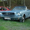 IMGP0095