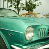 tn_PICT0339