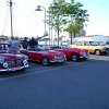 tn_PICT0243