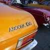 tn_PICT0388