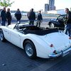 tn_PICT0010