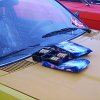 tn_PICT0447