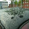 tn_PICT0102