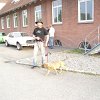 tn_DSC03552