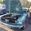 tn_100_0557