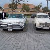 tn_100_3559
