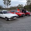 tn_100_3561