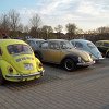 tn_100_5277