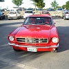 IMGP9154