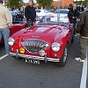 tn_DSC04905