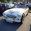 tn_DSC03962