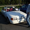 tn_DSC03974