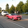 tn_IMG_0829