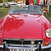 tn_IMG_0916