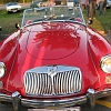 tn_IMG_0917