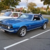 tn_DSC05076