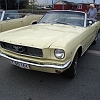 tn_DSC04295