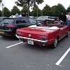 tn_DSC04418