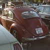 IMG_1954