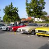 DSCN1239