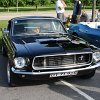 IMG_8537