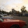 IMG_1531