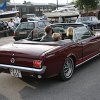 IMG_0551