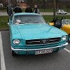 IMG_4135