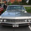 IMG_8175