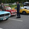 IMG_8247