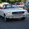 IMG_7344