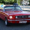 IMG_7355