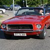 IMG_7377