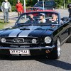 IMG_7391