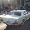 IMG_7467
