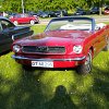 DSCN2824