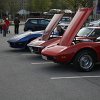 IMG_4530