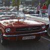 IMG_7626