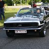 IMG_7706
