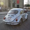 IMG_4905