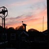 IMG_5061