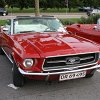 IMG_0775