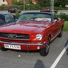 IMG_7896
