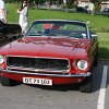 IMG_7928