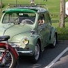 IMG_7931