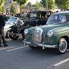 IMG_6881