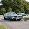 IMG_3441