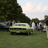 IMG_3495