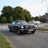 IMG_3552