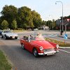 IMG_3586